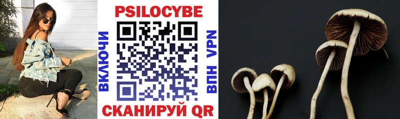 маркетплейс состав  Истра  Псилоцибиновые грибы Psilocybe  ОМГ ОМГ зеркало 